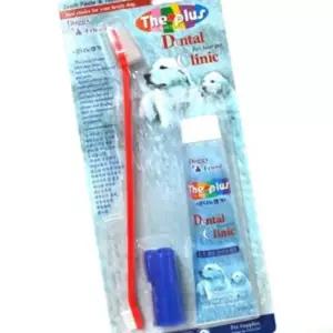 덴탈 치약 셋트 도기프랜드 칫솔 클리닉 목욕 KWD6EC3E