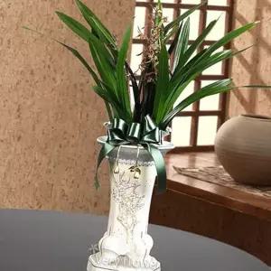 (다올)산천보세 동양란 화분 꽃배달 고백 결혼 생일 돌잔치