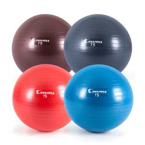 아이워너 고급형 안티버스트 짐볼 75cm 스트레칭 헬스
