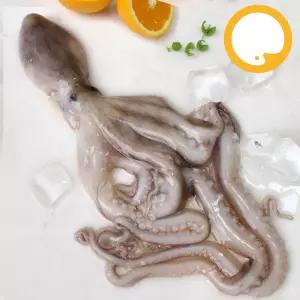 활낙지 냉동작지 850gX6팩 4미(200/300) 업소용