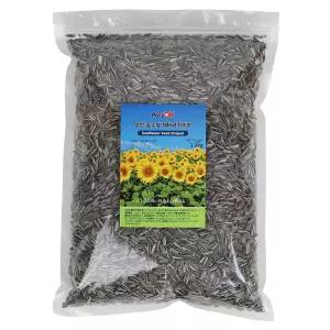 PetsOK 알찬 중소형 해바라기씨 1.2kg 앵무새 햄스터 다람쥐 소동물용