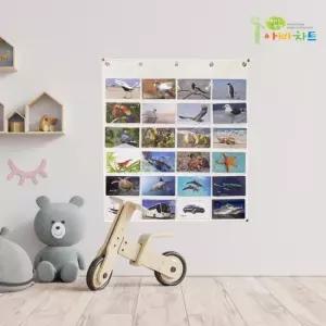 아빠차트 아빠차트 NA5 핀덴카드 가로형 수납