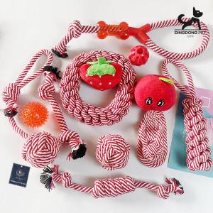 딩동펫 반려동물 스트로베리 로프 터그인형 장난감 12종 세트