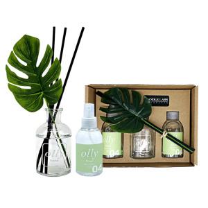 officeseller 캔들랩스 올리 몬스테라 디퓨저 [세트구성]