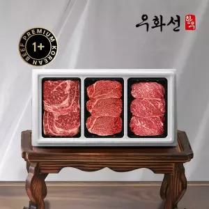 갤러리아 특선 숙성한우 1+등급 등심 구이 선물세트 2호 (등심+안심+채끝/총1