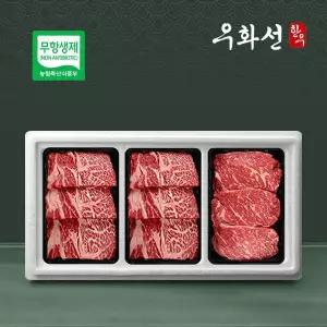갤러리아 무항생제 한우 1등급 명품 구이혼합세트 2호(등심+등심+채끝/총1.2k