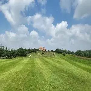 [부산출발] 청도 골프 3일#다색골프 #18홀*2회 #캐슬렉스/영해CC#시내호텔 #조/석식포함 #가성비골프  #2인출발 가능