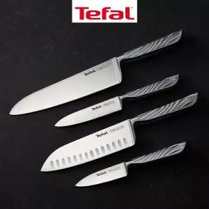 [테팔] 스테인리스스틸 프리시젼 칼 식도 과도 단품/세트 (택1)