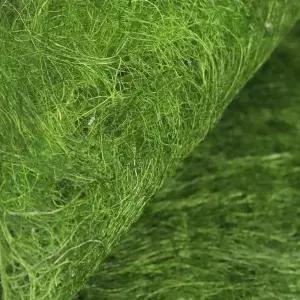 자연산 서산 바다의 향 일품 생 햇감태 10매 x 2봉