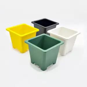 포트모아 플라스틱 정사각 분갈이 다육식물 작은 컬러 화분 3호