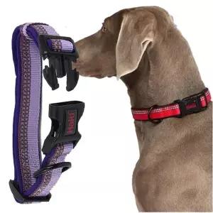 강아지 야간반사 목줄 퍼플 XS 1P D링 산책 고정밴드 애견산책