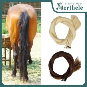 50g AAA 시베리아 천연 말총 흰 말 꼬리 비올라 바이올린 첼로베이스 활 머리 포니 테일 직조 교체