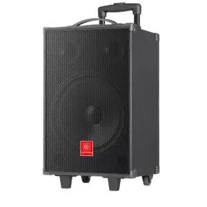 이동형 앰프 노래방 스피커 야외 공연 댄스 음향 대형 휴대용 기본형 고급 전문장비