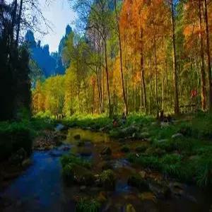 [청주출발/스마트초이스]장가계/원가계 5일#대협곡 유리다리#천문산사+귀곡+유리잔도 #전신마사지 #관광지 중심 5성급호텔 #핫플레이스 72기루 #리무진버스 #포토북 #특식5회 #쇼핑2