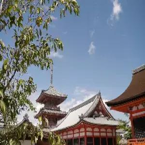 [4명이상 출발확정][노쇼핑/노옵션/노팁] 오사카/교토/나라/고베 4일 #교토료칸숙박 #오사카2박 #기온거리 #아라시야마 #세계문화유산