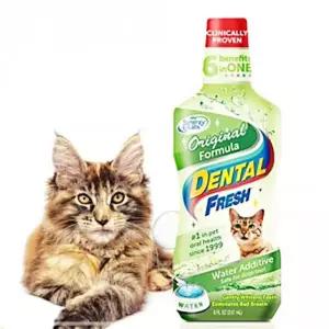 섞는 캣 덴탈 물에 치약 후레쉬 입냄새제거 고양이 FW2B3A39