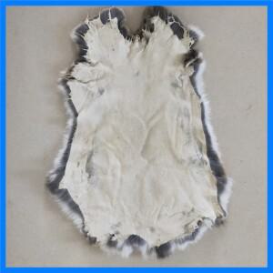 천연 토끼 가죽 진짜 토끼털 렉스 토끼 가죽 전체 풍성한 토끼 가죽 DIY 홈 데코 의류 액세서리 고품질