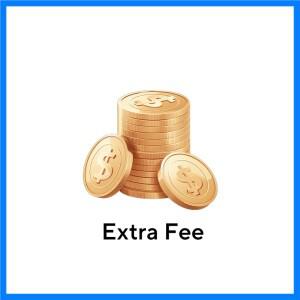 추가 요금 - 알리익스프레스 표준 배송