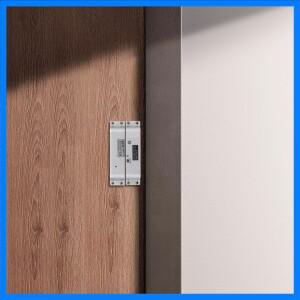 알루미늄 합금 전류 시동식 데드볼트 잠금장치, 전압 DC V, 지연 시간 초 단위 조절 가능 잠금 방식