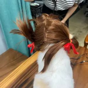 프린세스 양갈래 강아지 가발애견 미용 악세사리 앞머리 패션