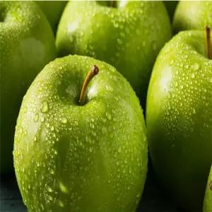 풋사과추출분말 중국산 1kg 가루 영양