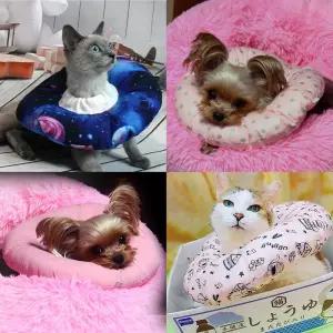 쿠션넥카라 L(대) 넥카라 넥칼라 쿠션넥카라 애견꼬깔 애견갈때기