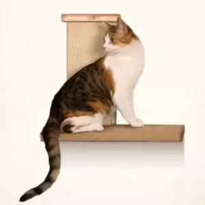 고양이스크레쳐 고양이 캣타워 장난감 놀이 기구 클라이머 스크래쳐