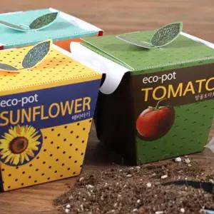 홈가드닝 미니화분 씨앗 흙 세트 식물키우기 실내식물 상자텃밭