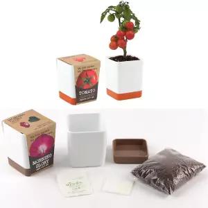 반려식물키우기 방울토마토씨앗 흙 화분세트 식물키우기 실내식물