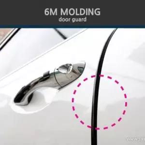 [CAR] 몰딩 도어가드 6M 크롬 or 실버 문콕방지