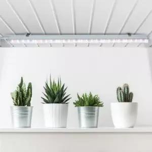 [데코] 베란다 국내산 LED 식물 재배등 1개 풀세트 실내용 인공조명 화초