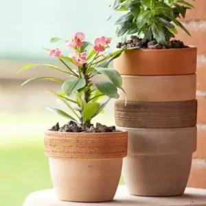 바소 25x22cm 그레이 산세베리아화분 까페장식화분 디자인 인테리어 식물 축하 개업 선물 카페 실내 사무실