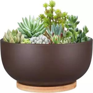 30포트 10인치 테라코타 화분 배수구가 있는 대형 다육 분재 실내 식물용 대나무 접시 갈색