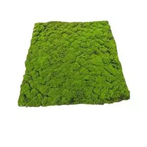 인조 이끼 데코 조경 1m x 잔디 매트 식물 DIY B형 인테리어 정원 화분 울타리