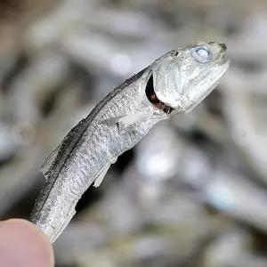 다시 멸치 육수용 300g용 건멸치 마른 말린 국물용 다시용 용마른 용건 건조