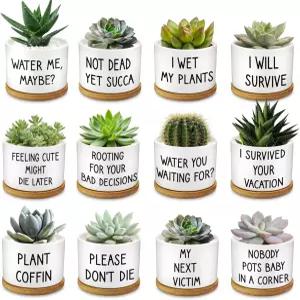 로주나 12개의 재미있는 다육질 냄비와 대나무 트레이 화이트 세라믹 알로에 선인장 화분 여성 동료 직원용