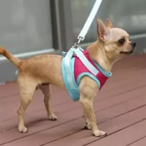 강아지 매쉬 하네스 가슴줄 몸통줄 산책줄 핑크 블루