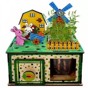 뿌리식물 관찰정원 만들기