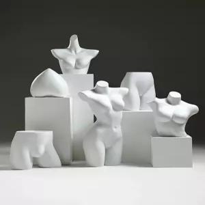 란제리 마네킹 속옷 이너웨어 수영복 상반신 전시대 디피