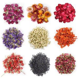 9봉지 말린 꽃, 비누 만들기, DIY 양초 목욕을 위한 100% 천연 꽃 허브 키트 - 장미 꽃잎, 라벤더, 나를 잊지 마세요, 릴리움, 재스민, 로즈버드 등 포함