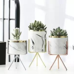 다육이 선인장 화분 고급 인테리어 소품 거치대