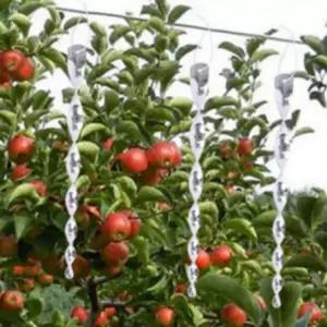 비둘기 참새 까치 까마귀 조류 퇴치기 스틱 6개 새쫓기