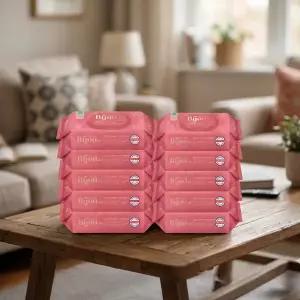 모나리자 비쥬 코랄 캡형 물티슈 70매 x 10팩