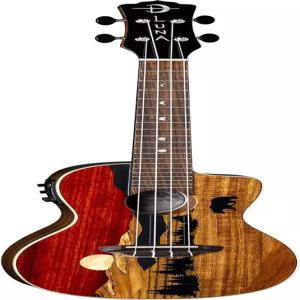 루나 비스타 베어 콘서트 협회/엘렉트릭 우쿨렐레