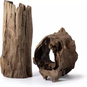 갈라파고스 (05550) 속이 빈 통나무 숨김 테라리움 수족관 장식 어항 유칼립투스 나무 중간 크기 6 - 8