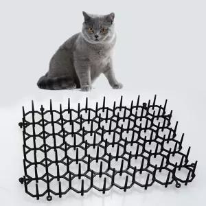 고양이 ?는법 싫어하는것 차단 방법 퇴치기