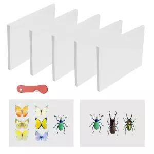 6 PCS 곤충 고정 보드 9.8 x 6.3 0.39 인치 흰색 EVA 폼 매트 표본 스프레드 패널 실험실 과학 교육