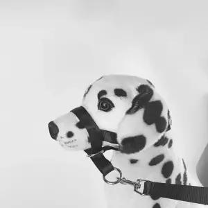 best 진돗 개 짖음방지 대형견 입마개 강아지 외출용 산책용