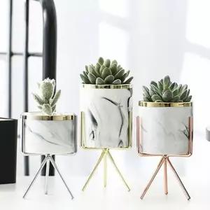 다육이 선인장 화분 고급 인테리어 소품 거치대