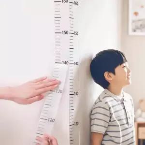 키재기 스티커 200cm 키스티커 유아키재기